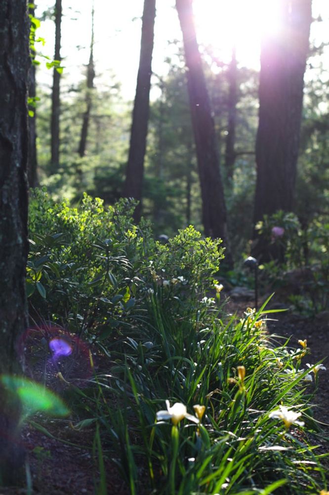 Green Gulch Zen Center In Mill Valley CA 94941 USA