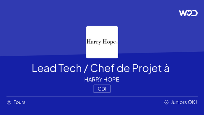 Lead Tech Chef de Projet H F Basé à Tours IT job