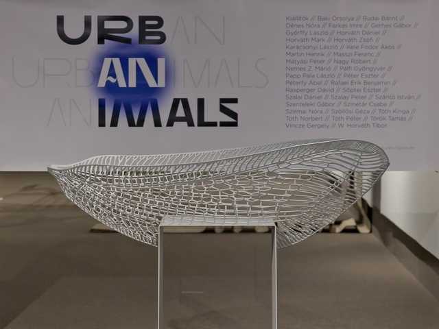 URBAN ANIMALS kiállítás