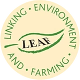 Leaf Marque