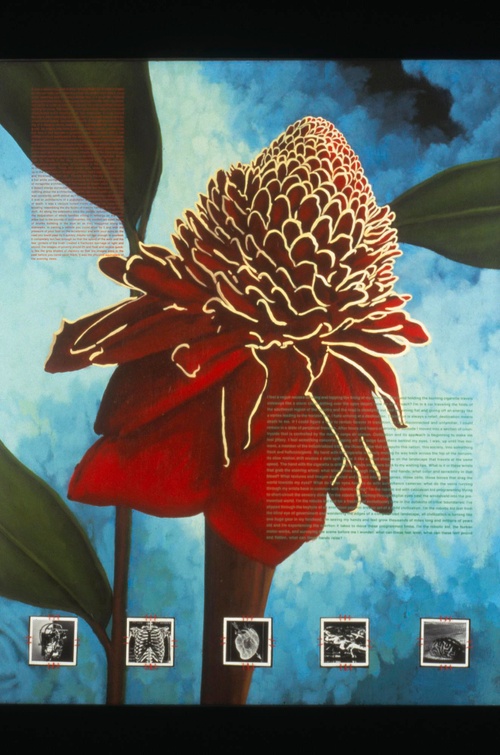 88062 ca object representations media 5198 publiclarge