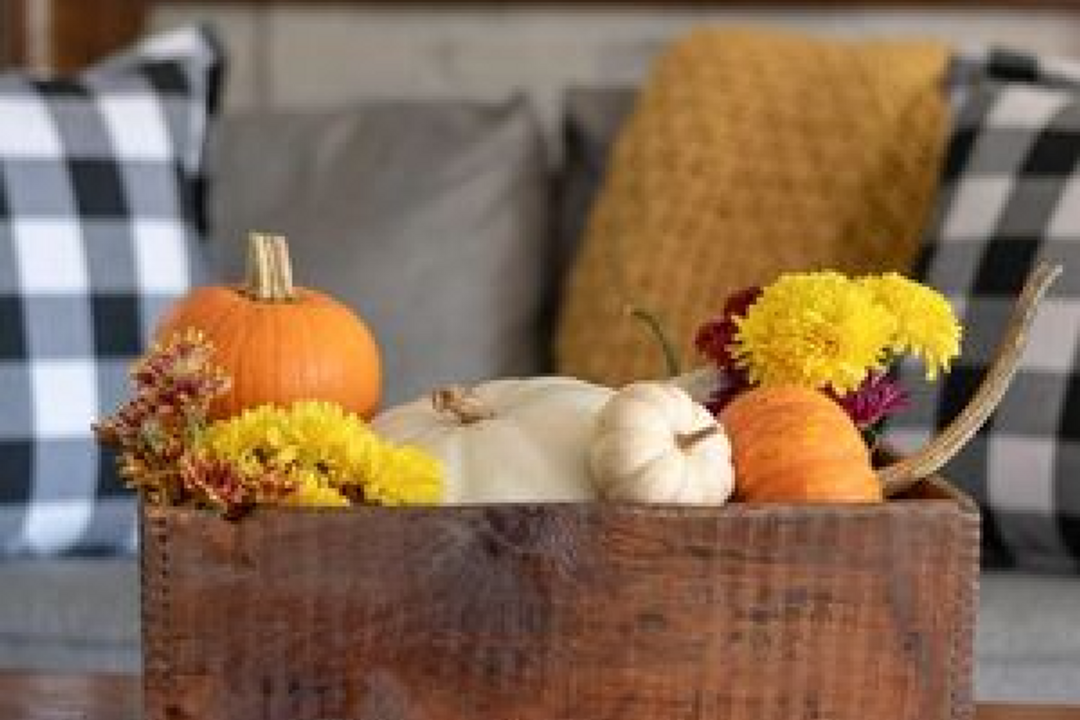 KSA Knows Fall Fun!