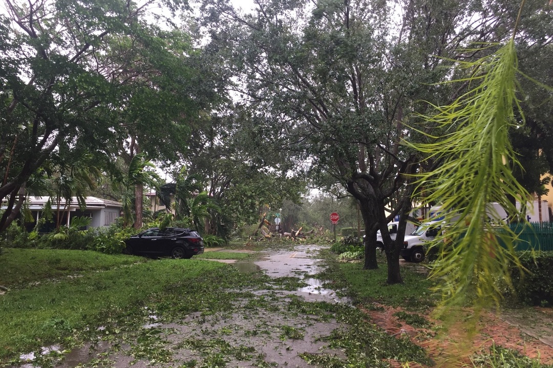 Hurricane Irma Coconut Grove update