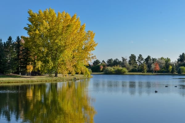 Selling your home in Austin