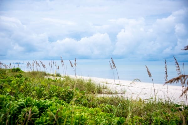 Selling your home in Austin