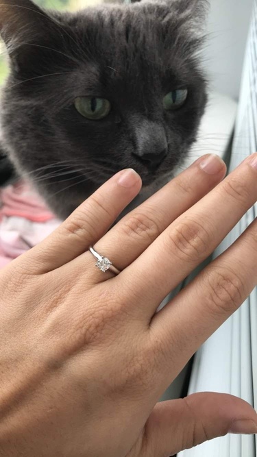 Pixel inspecting the new ring