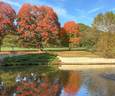 Loose Park: Stroll around Kansas City's largest park.