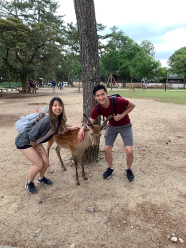 2 0 1 9 - Nara, Japan 