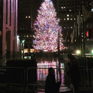 Proposal in NYC, December 2020