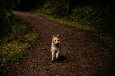 Photo by Kestrel Bailey Photography