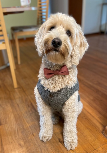 Archer is ready to party!