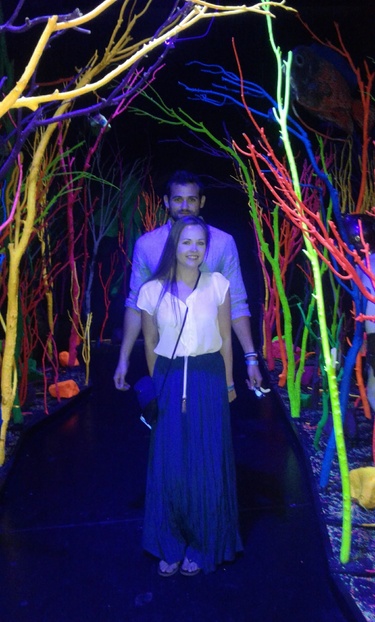 MEOW WOLF Santa Fe