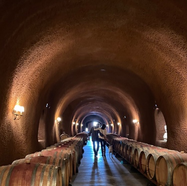 Engagement Weekend in Napa