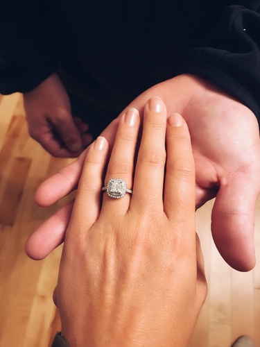 The proposal! :)