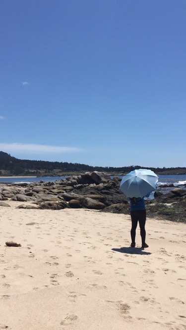 Louis making effort on the Monterey Trip