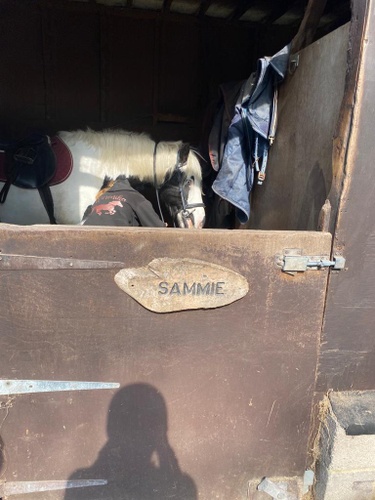 This was the horse I rode on our 2nd date. Fate or nah?!