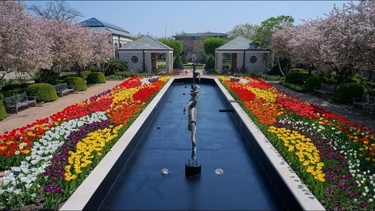 Kauffman Memorial Garden: Visit Kansas City's most beautiful garden, and see what flowers are in bloom!
