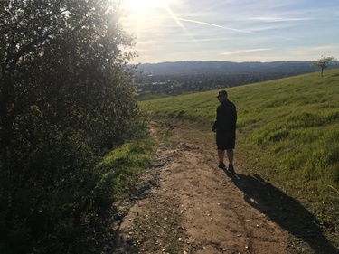 Toddy on a hike in Walnut Creek