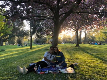 A midsummer picnic 