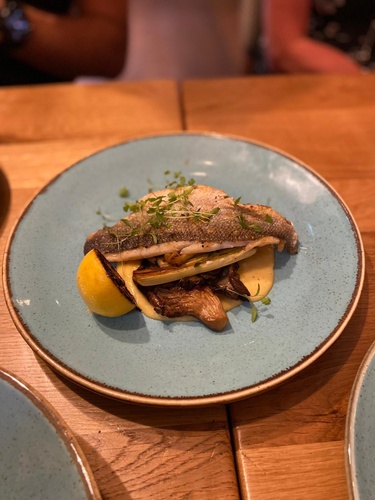 Grilled seabass, braised leeks, oyster mushroom & thyme