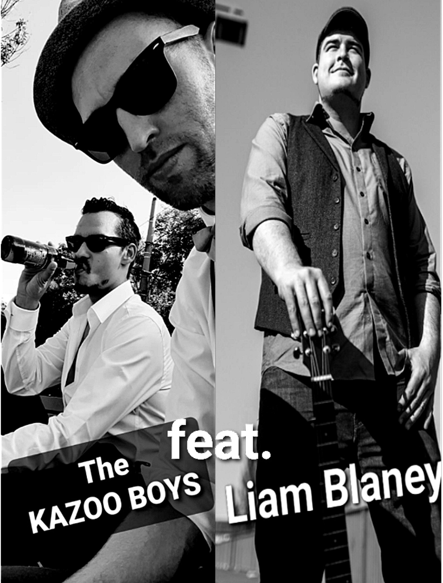 Kazoo Boys feat. Liam Blaney LIVE Irish Harp Berlin