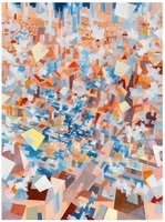 David Schnell: Flyer