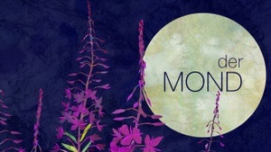 der MOND