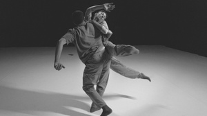 LANDERER&COMPANY / DIMO MILEV