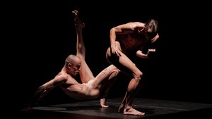 IVONA - T.R.I.P.O.F.O.B.I.A. - THE END