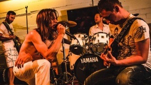 Maidenhead vs. The Full Bug