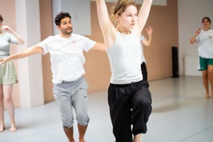 Expressive Impulse Lab