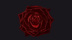 Fischer & Friends: Ich sehe alles rosenrot - Karl May, vom Kegeljungen zum Großmystiker
