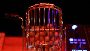 BINGO w/ FREDDY - OPEN AIR