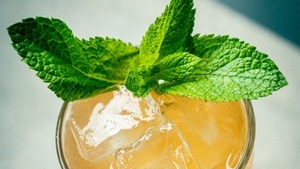 Cocktailkurs