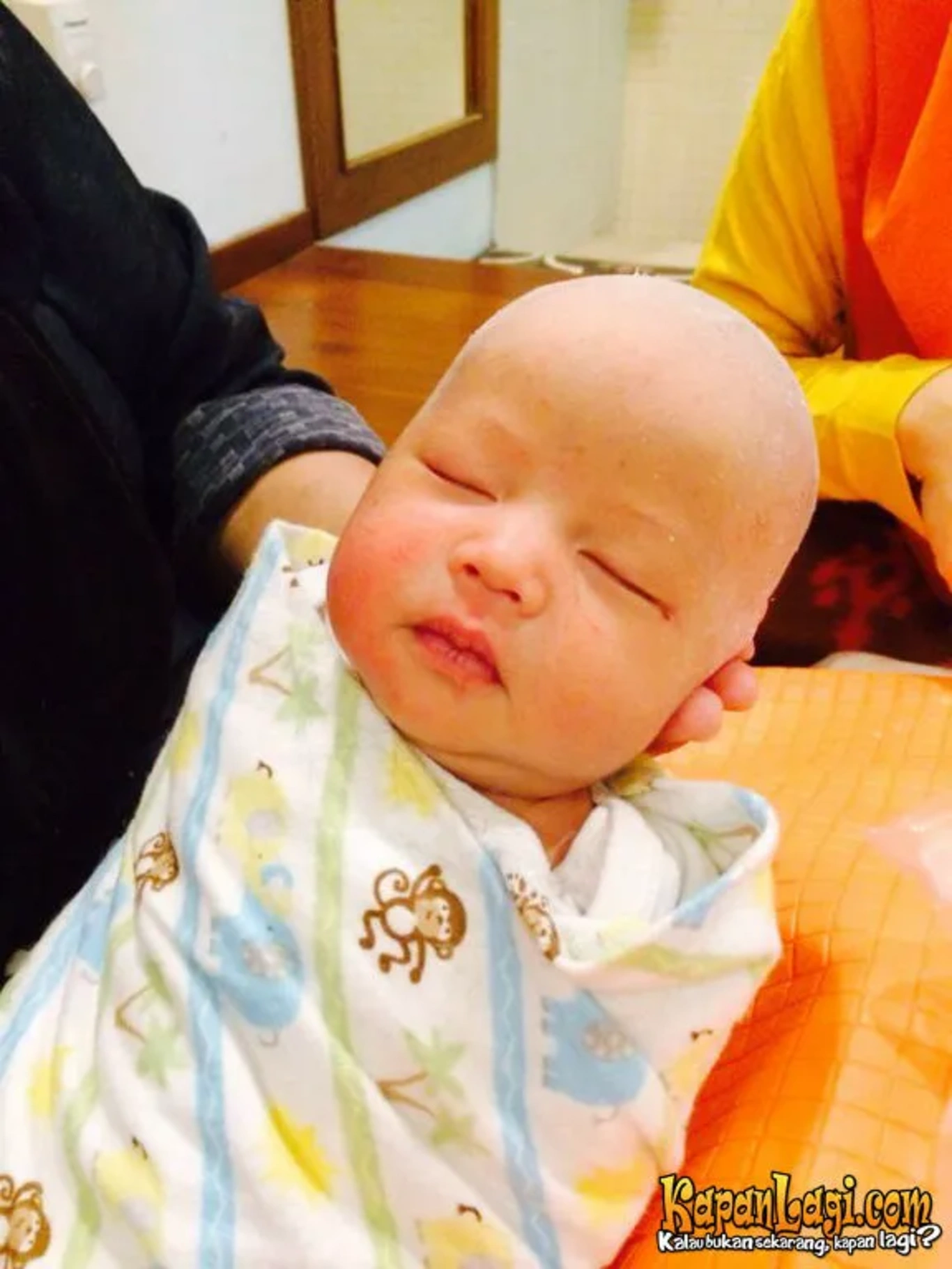 Jika Anda tidak melihat foto Chafidz Djalu Hakim, kemungkinan karena foto dengan nomor tersebut tidak tersedia di Kapanlagi.com™