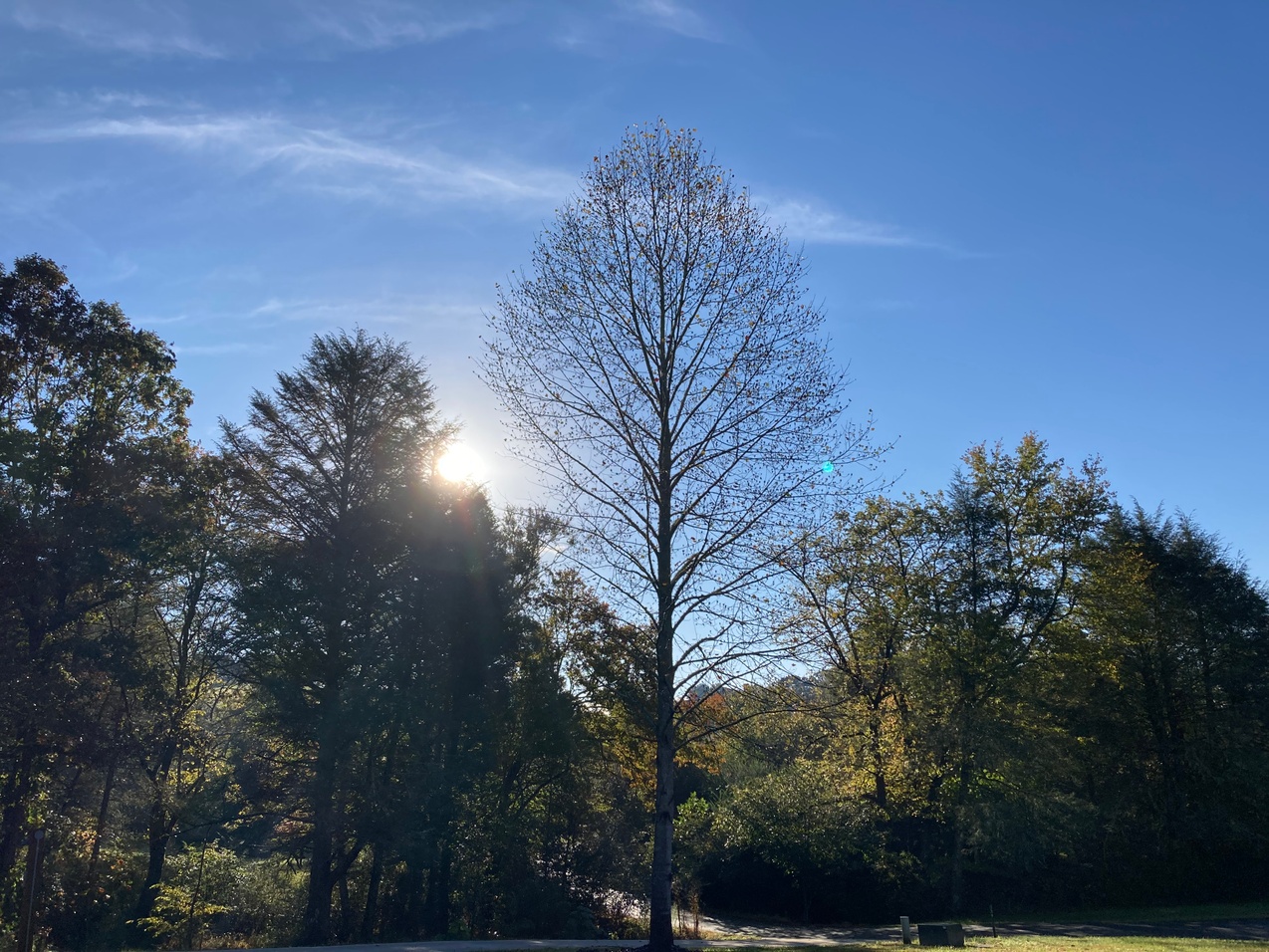 Image of sunrise in the mountains