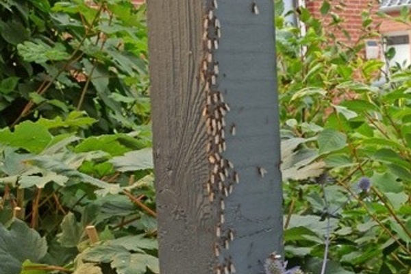 gallery-post