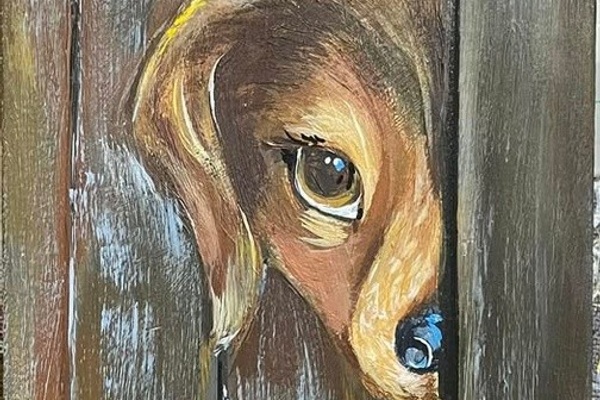 Dogs