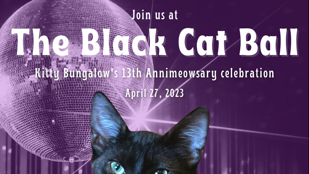 The 13th Annual AnniMEOWsary "The Black Cat Ball" SponsorMyEvent