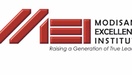Modisane Excellence Institute