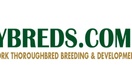 NY Thoroughbred Breeding and Development Fund