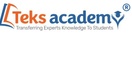 Teks academy