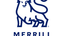 Merrill Lynch