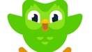 Duolingo