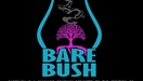 Bare Bush Co