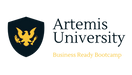 Artemis University