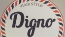 Digno Hairstyle