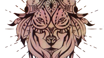 Work Hard Play Hard Festival