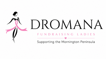 Dromana Fundraising Ladies 10th Anniversary Community Fundraising Gala