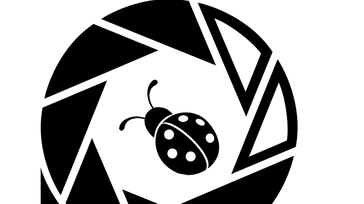 CSMT Photowalk